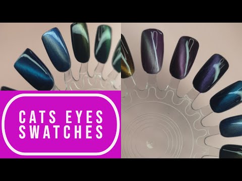 Video: Мышыктардагы синекиялар - Cat Eye Problem - Iris Adhesions