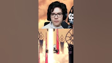 Hollow Knight Mods Are "Fun"
