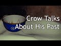 Destiny 2 - The Crow talks about his past