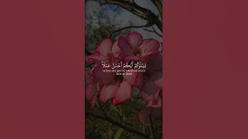 قرآن كريم 😇💜‏﴿لَا تَدْرِي لَعَلَّ اللَّهَ يُحْدِثُ بَعْدَ ذَٰلِكَ أَمْرًا﴾ 🤲🏽❣️قرآن كريم