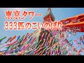東京タワー 333匹のこいのぼり