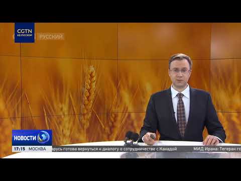 Зерно в блокаде