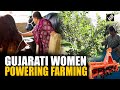From Fields to Leadership: Gujarat’s Women Farmers Take Charge