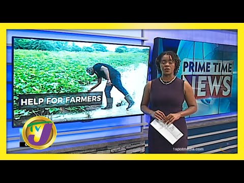 Gov't Support for Farmers | TVJ News