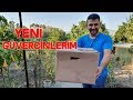 Kuş Pazarından Yeni Güvercin Aldım