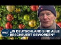 KITA &quot;CANCELT&quot; WEIHNACHTSBAUM: Diskussion um Tradition und Inklusion in Hamburg