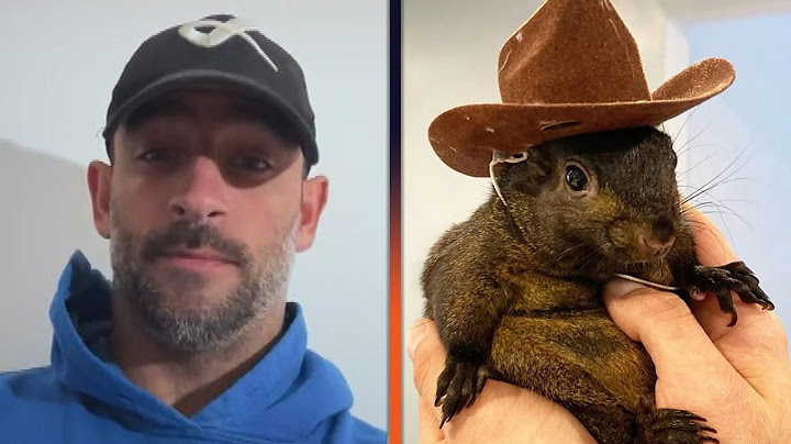 Peanut the Squirrel's Dad IN TEARS After Pet Euthanized