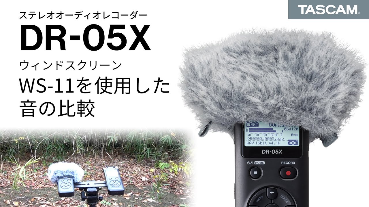 WS-11 | DRシリーズ用ウィンドスクリーン | TASCAM (日本)