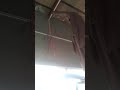 Wairing Karne Ka Trails China Patti wiring