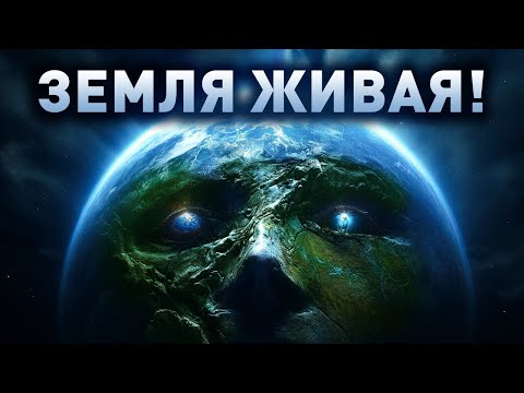 Планеты могут быть разумными. Земля  одна из них?