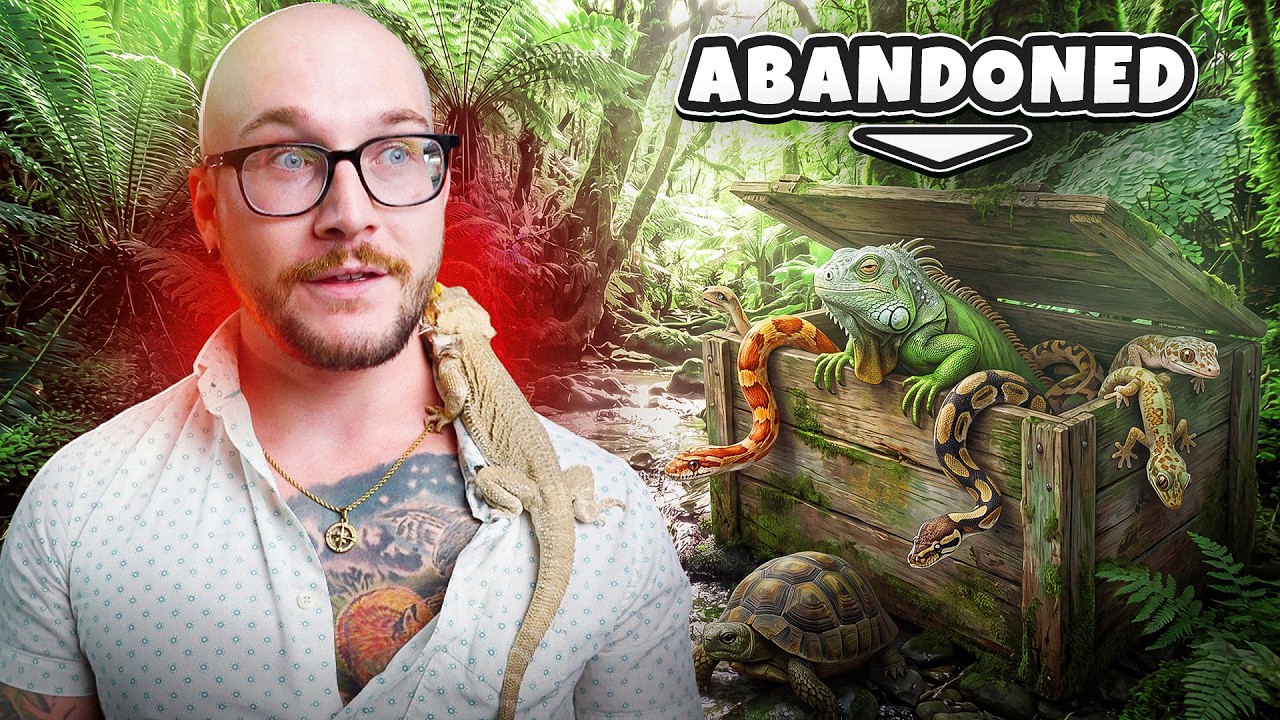 I Rescued 100 Reptiles!