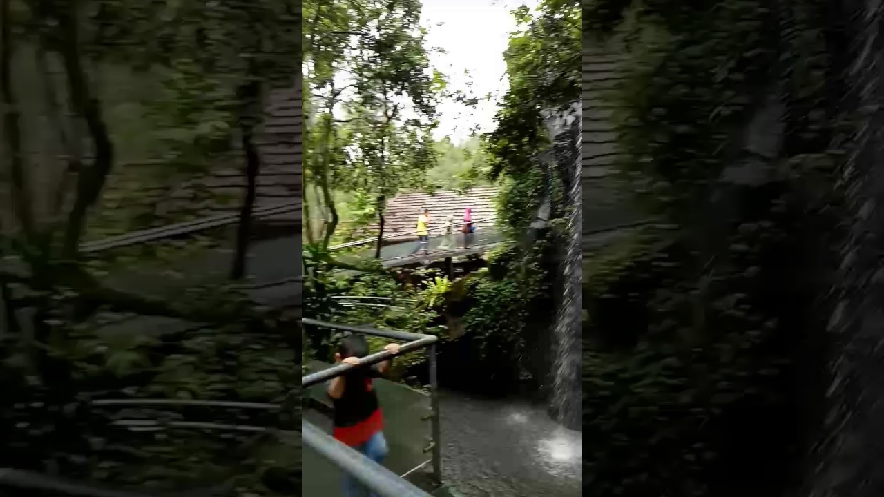 Baby Zoo Taman Safari - YouTube