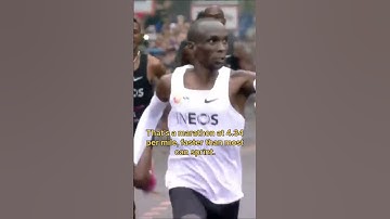 Kipchoge G.O.A.T #shorts #kipchoge #running