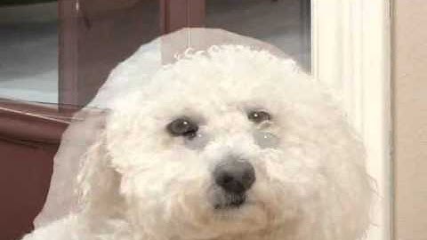 DMP Tutorial - Easy Exit