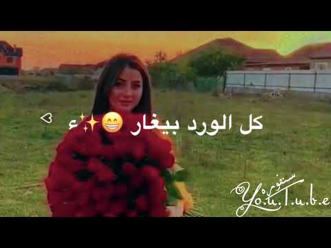 كل الورد بيغار من حمرة خدودك حالات واتس اب غرور وكبرياء سنفوره