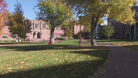 University of Denver employee resigns over closure of DEI programs