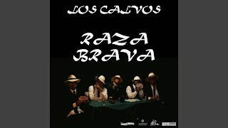 Video thumbnail of "Los Calvos - Gonobikerreas"