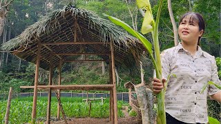 Cover the roof with palm leaves - The girl alone built a wooden house in the wild forest by Pham Tâm 5,126 views 2 weeks ago 47 minutes