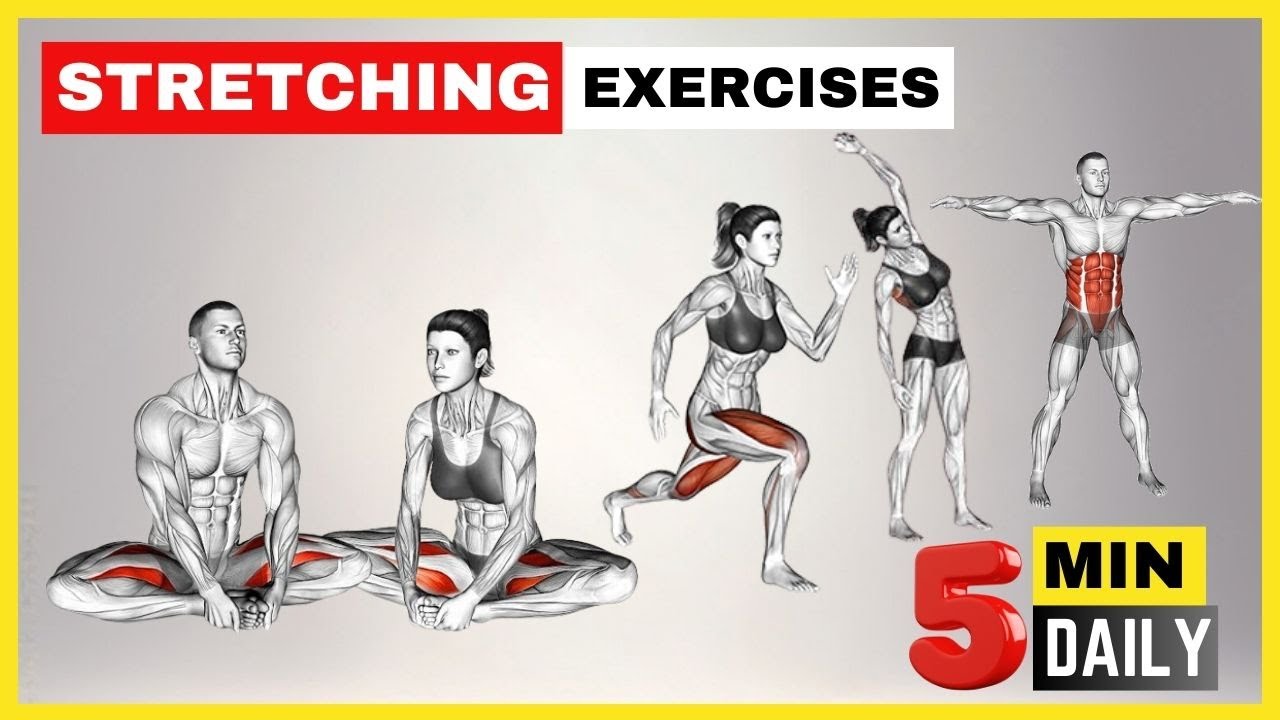 Stretch Routine 5min Male Get FIT with 5 MIN DAILY STRETCH Exercises Before Workout - YouTube
