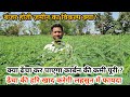     organic carbon           greenmanure dhencha