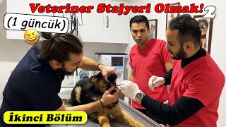 KÖPEĞE HAPI YUTTUR DEYİNCE.. 😂 Bir Günlüğüne Stajyerim Oldular! PART.2 #inanoğlu