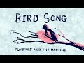 Bird Song - BNHA Animatic