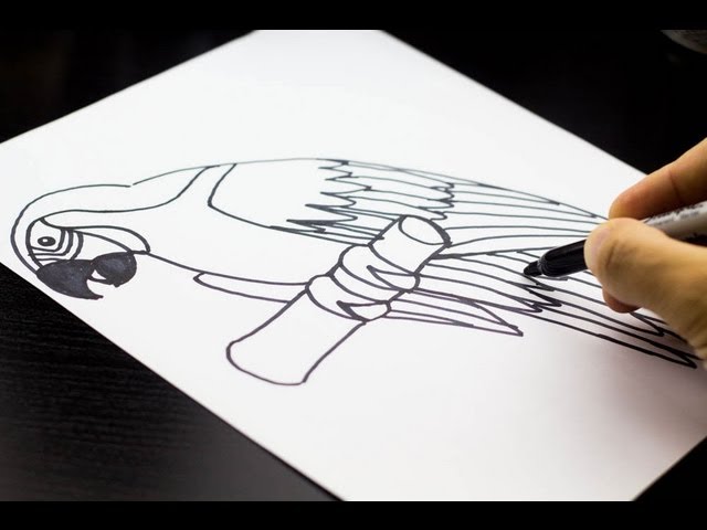 Art Projects for Kids · Step by Step Drawing Lessons for Kids