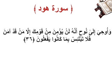 سورة هود الاية 36