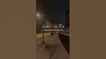 🎧 صوت يلامس القلوب – تلاوة مؤثرة للقارئ إسلام صبحي
