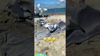 The funniest scene on the beach #funnyvideo #funny