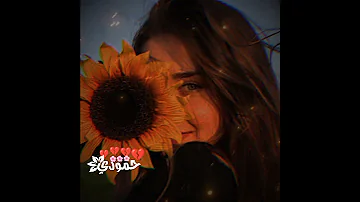 تعي لنعيد الي كان عني ولابقى تغيبي بهاء اليوسف حالات واتس تصميمي 