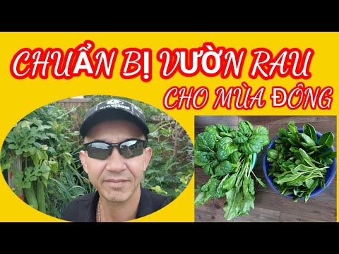 Video: Chuẩn bị Mùa Đông cho Vườn Rau - Mẹo Chuẩn bị Vườn Rau Cho Mùa Đông