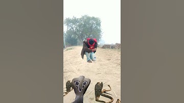 new trend nagin vfx magic video inshan se nagin ban gya इच्छाधारी नाग kine master editing