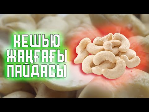 Бейне: Кешью жаңғағы туралы барлығы