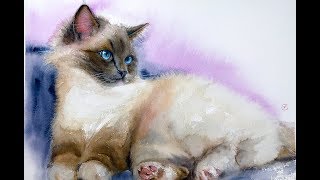 Cat painting tutorial in Watercolor