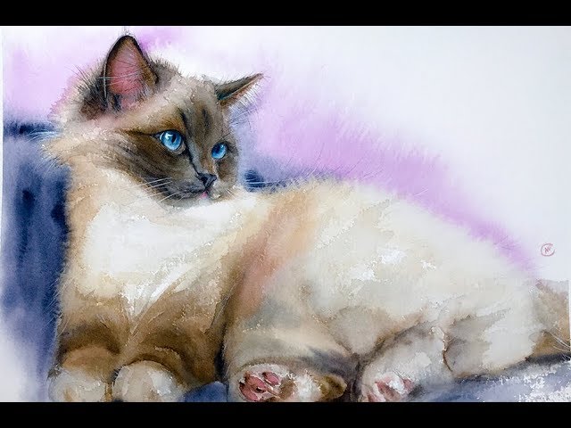 Cat painting tutorial in Watercolor