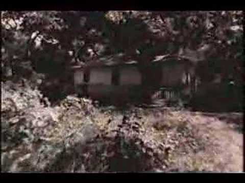 DUMPTRUCK "Bad Day"
