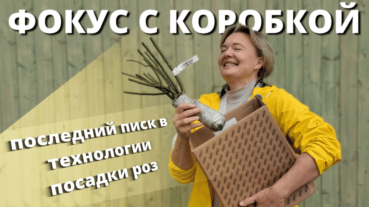 ПОСАДКА РОЗ ОТ НЕМЕЦКИХ УЧЁНЫХ. Не удивили, а утвердили.