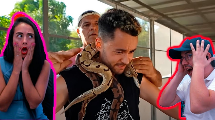 Reaccionamos a | TheGrefg | FRANK ME ENFRENTA A LAS SERPIENTES | Una LOCURA