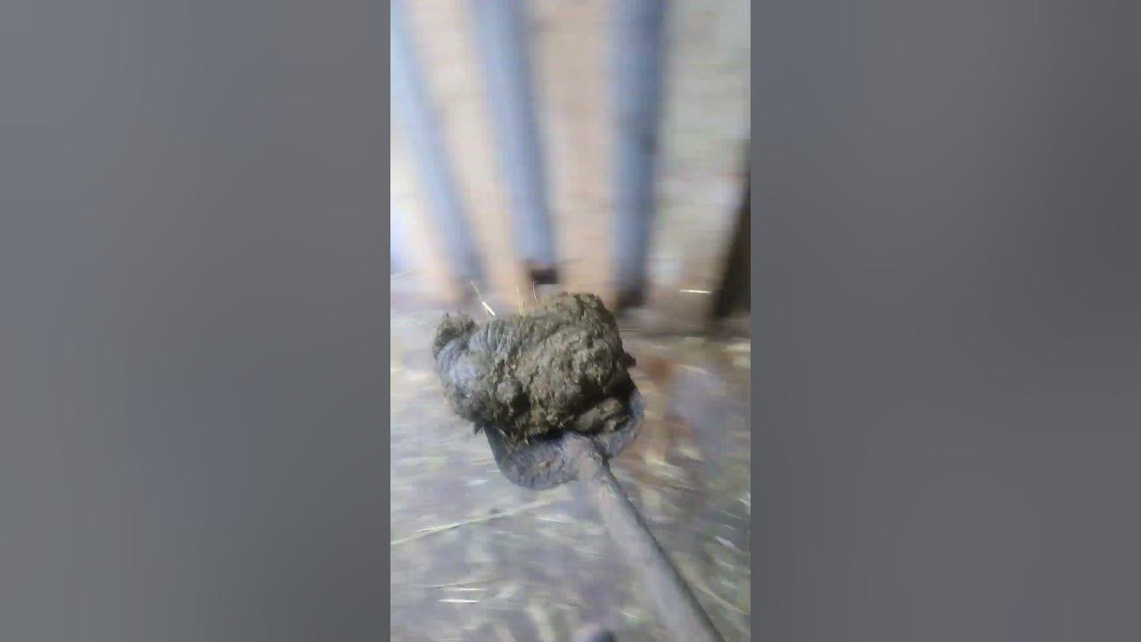 міліон в селі - YouTube