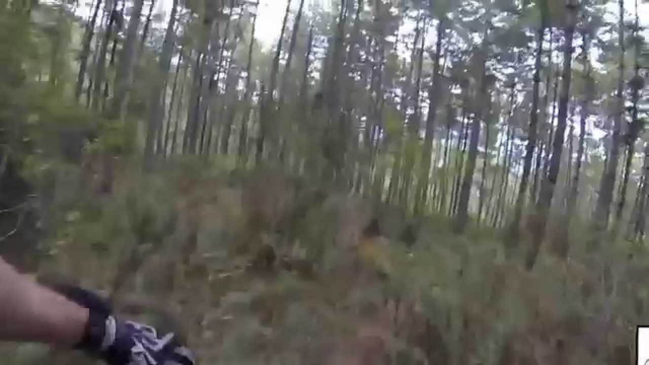 Bhutan Mountain Biking Tour : Takin Trail in Thimphu Bhutan