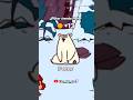 Polar siendo Polar
