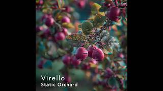 Virello - Static Orchard