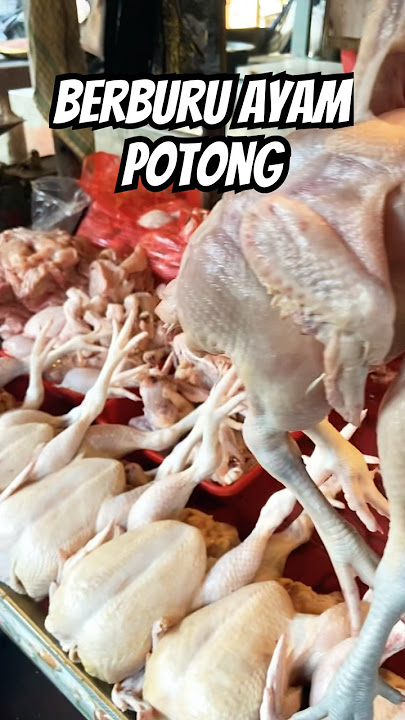 Ke pasar berburu ayam potong #shorts