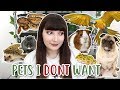 PETS I DON'T WANT TO OWN...& WHY