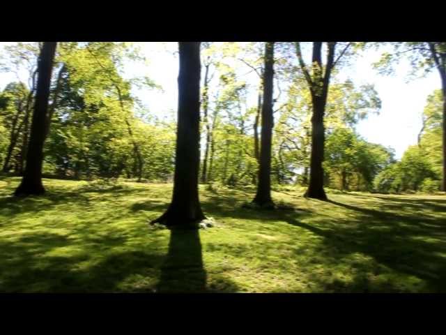 Seasons of Central Park (HD video montage of New York City's Central Park )