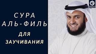 Сура Аль-Филь, (Аламтарокайфа) в HD, для заучивания, шейх Мишари Рашид Аль-Афаси