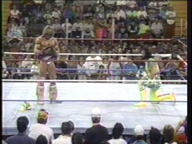 Ultimate Warrior vs. Randy Savage drama, WWF 1992 class=