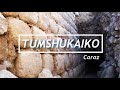 Tumshukaiko, turismo cultural de Caraz