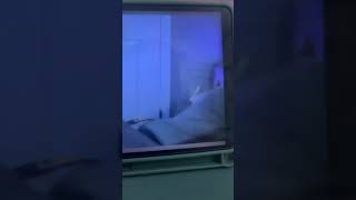 Beckbro Adam just feel down